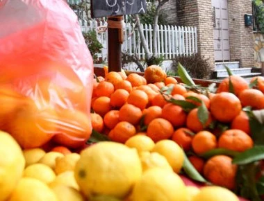 Τρόφιμα-δηλητήριο από την Τουρκία κατασχέθηκαν στον Έβρο